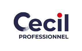 Traitements certifiés Cecil Professionnel pour la préservation de vos charpentes contre les xylophages.